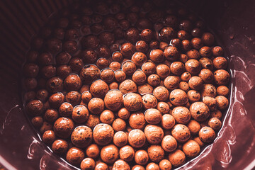 ハイドロボール 水耕栽培 ハイドロカルチャー