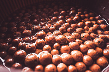 ハイドロボール 水耕栽培 ハイドロカルチャー