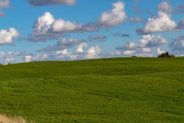 green field, hill, white clouds in sky