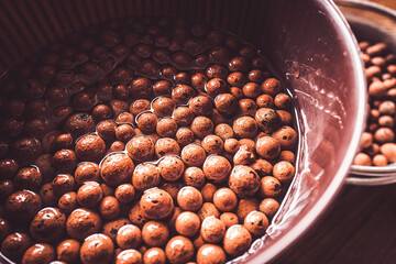 ハイドロボール 水耕栽培 ハイドロカルチャー