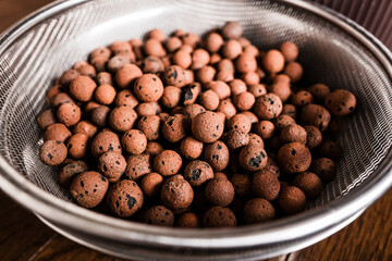 ハイドロボール 水耕栽培 ハイドロカルチャー