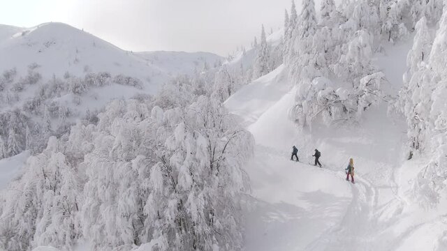 AERIAL: Three active tourists hike along a scenic trail during a fun splitboarding trip in the Slovenian mountains. Flying behind a group of ski tourers hiking up a mountain covered in fresh snow.