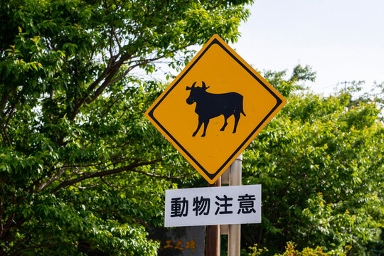 牛注意の道路標識