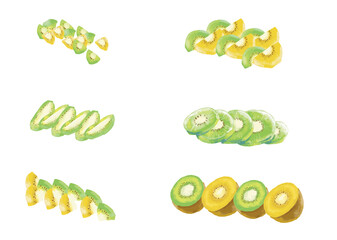 キウイフルーツの色んなカットのイラスト【グリーンキウイ／ゴールデンキウイ】／
Illustrations of various cuts of kiwifruit [green kiwi / golden kiwi]