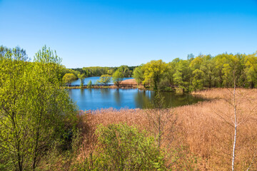 Fototapeta na wymiar Spring view of the park Serebryany Bor in Moskow. A lake with trees on the shores in spring. Green Russian nature in spring Moscow.