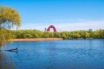 Green Russian nature in spring Moscow. View of the Zhivopisny Bridge from Serebryany Bor.