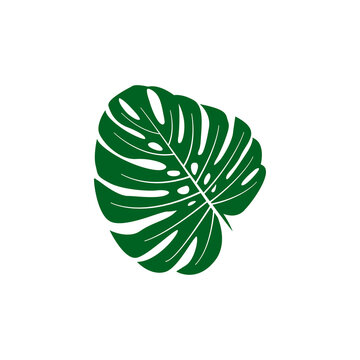 monstera leaf logo icon design template vector