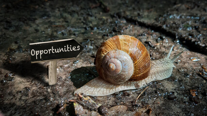 Street Sign to Opportunities