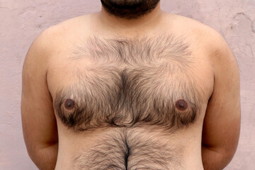 Asian fat boy with naked hairy chest
