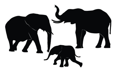 silhouette elephants family on white background. 