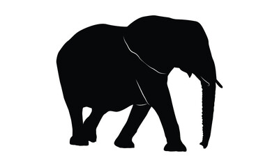Fototapeta premium silhouette elephants family on white background. 