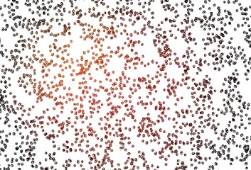 Light Orange vector backdrop with dots.