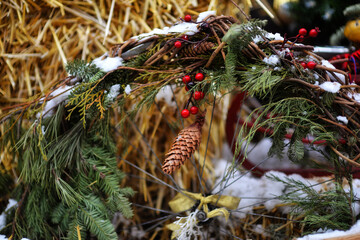 Naklejka na ściany i meble spruce branch with cones under the snow