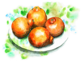 アナログ水彩ネーブルオレンジ４個