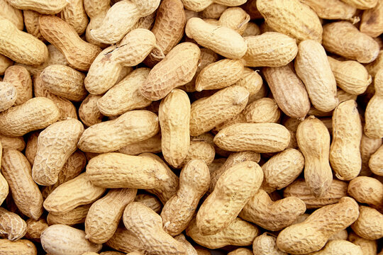 Roasted peanuts in shell background