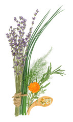 A bouquet of flowers and herbs on a white background. 
