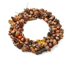 Beautiful acorn wreath on white background