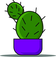 Cactus in a pot. Indoor plant for home or as a gift.
