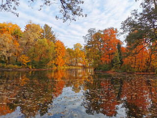 Naklejka premium Autumn in the park. Trees with bright, already falling leaves are reflected in the pond water along with the sky and beautiful clouds.