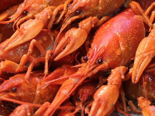 Close-up shot of boiled red crayfish
