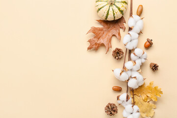 Autumn composition with cotton flowers and pumpkin on beige background