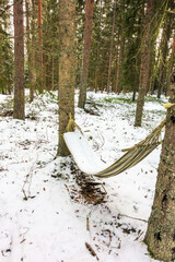 Snowy hammock in a forest in winter