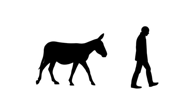 Man walking with a donkey, animation on the white background