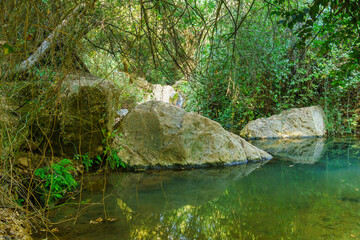 Naklejka na ściany i meble Water and fall foliage, in the Amud Stream Nature Reserve,
