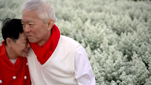 Asian senior couple wear red polka dots and scarf to celebrate Christmas and holiday season outside