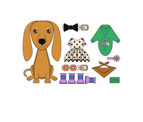 Dog fashion. Close-up of a dog and fashionable clothes and accessories.