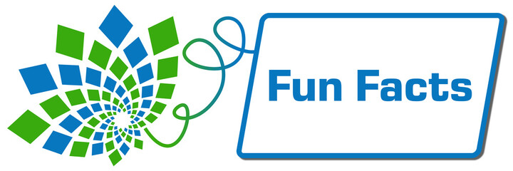 Fun Facts Green Blue Squares Floral Box Line 