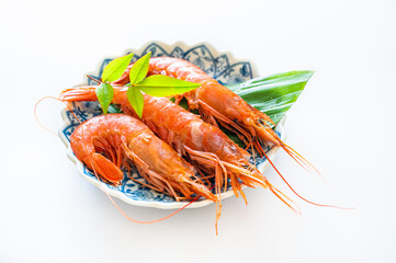 アルゼンチンアカエビ