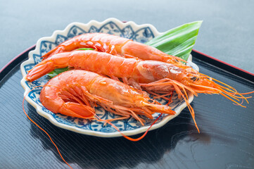 アルゼンチンアカエビ