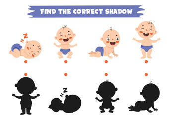 Find The Correct Shadow Activity
