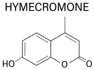 Fototapeta premium Hymecromone drug molecule. Skeletal formula. 