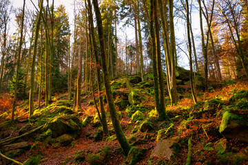 Karlstalschlucht