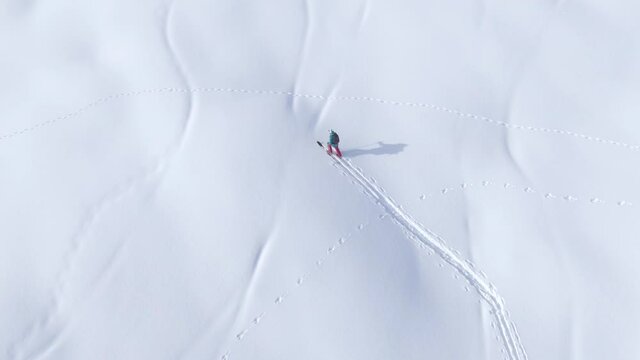 TOP DOWN: Flying above a split boarder trekking uphill on a sunny winter day. Young female tourist snowshoes up a snowy hill during an off piste snowboarding trip in the idyllic Slovenian mountains.