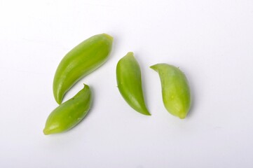 Cyclanther on a white background