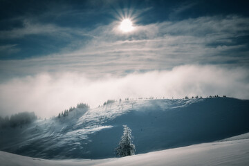 Spectacular scene of the sun hitting a valley in the mountains during winter with a fir tree in the foreground