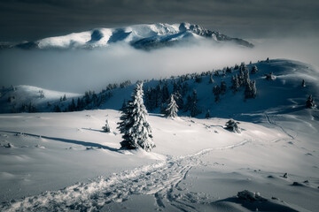 Beautiful panorama of a mountain range separated by some low clouds and a footpath in the foreground during a winter day