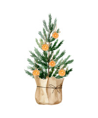 Watercolor Christmas tree craft paper pack decorated by dried oranges. Holiday clipart in boho style for invitations, greeting cards. Scandinavian minimalistic style