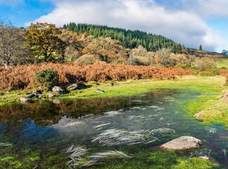 Frozen Grass in Autumn Colours over River Dart in long exposure, Dartmoor Park, Devon, England, Europe