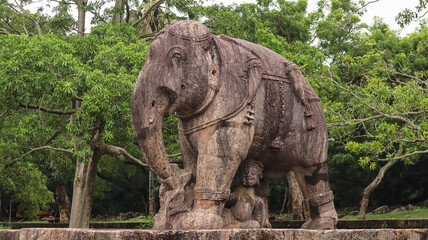 Fototapeta premium Colossal Statues of battle elephant on platforms near the north of the temple compound. Konark Sun temple, Odisha, India.