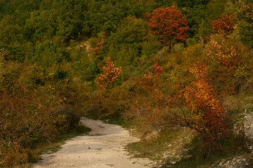 Fototapeta premium Walking path at Monte Pellecchia in the autumn, Monti Lucretili Natural Regional Park, Italy