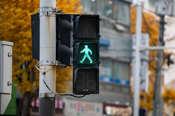 A traffic light with a green pedestrian traffic light on. South Korea