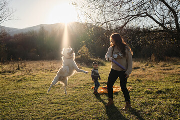 Dog jumps up behind toy and makes funny faces. Lifestyle concept. Spending time with best friend in nature. Catch rays of departing sun. Caucasian woman and her son play with dog in field at sunset.