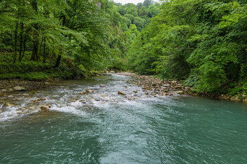Caucasus. Khosta river in the area of yew-boxwood grove. Subtropical forest. Aerial view.