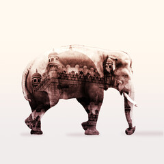 Double exposure poster with big Asian elephant and Mosque silhouette.