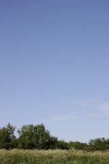 Obraz premium Landscape with a river and nature. Homeland. Beautiful sky