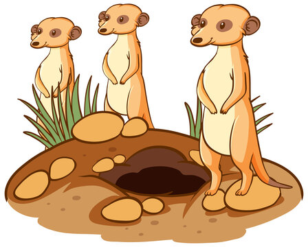 Three meerkats animal cartoon on white background